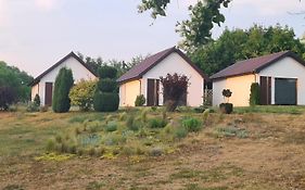 Nadmorskie Slonce